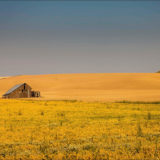 Palouse